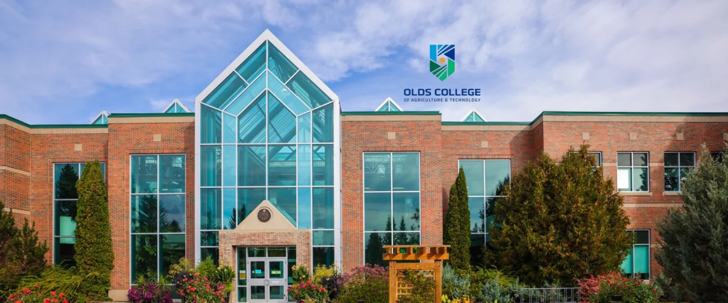 mannpower-career-home-banner-olds